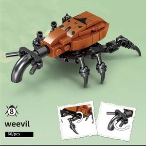 Weevil Insect Series Bug Collection